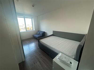 Picture 11
